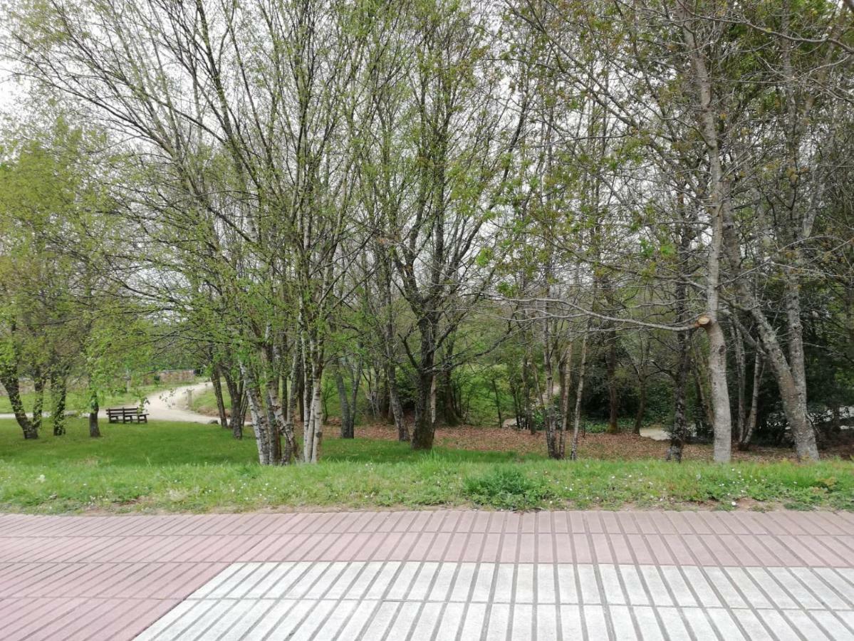 Apartamento Sigueeiro Camino Ingles Sigueiro Exteriér fotografie